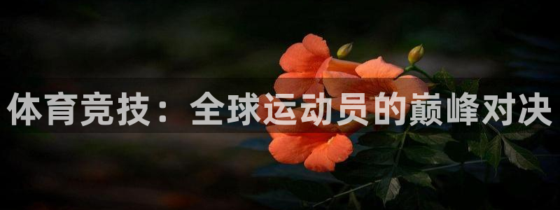 利记官网下载招商电话号码:体育竞技:全球运动员的巅峰对决