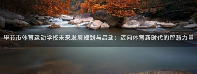 利记官网下载招商电话地址查询:毕节市体育运动学校未来发展规划