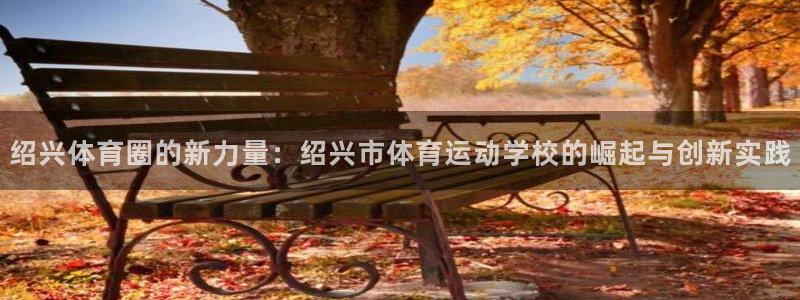 利记官网下载平台是正规平台吗:绍兴体育圈的新力量:绍兴市体育