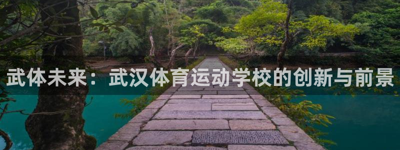 利记官方集团官网:武体未来:武汉体育运动学校的创新与前景